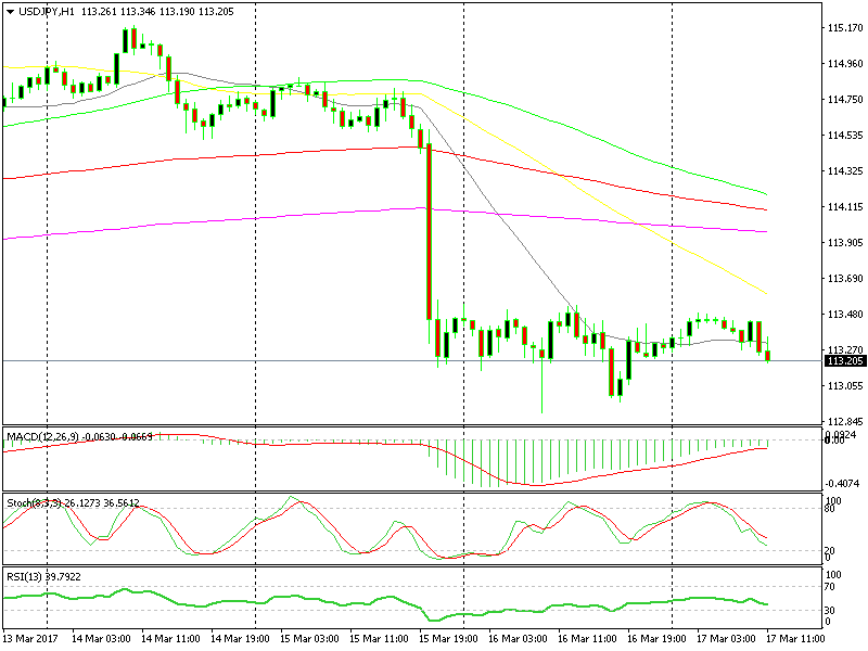 Forex l feed
