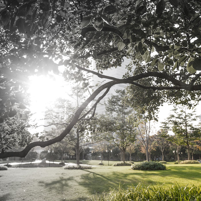 Area parks in Sandy Springs