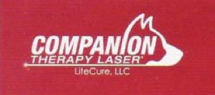 Companion Laser Therapy at Mundelein Animal Hospital