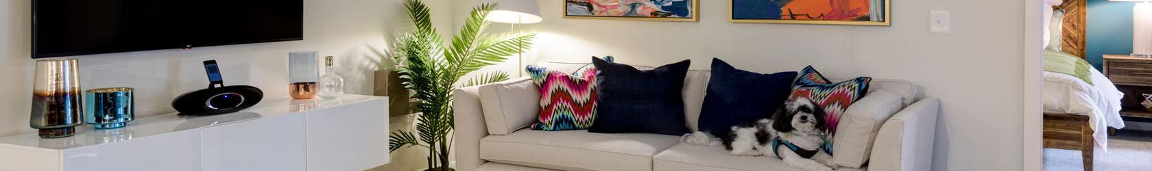 Pet friendly apartments in Berkshire Chapel Hill