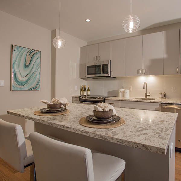 Kitchen rendering of what your home could be like at VIA Seaport Residences