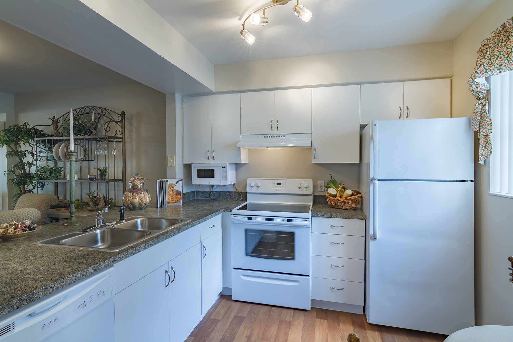 Modern apartment kitchen Naples, Florida