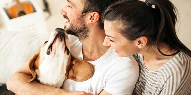 The Madison at Eden Brook loves little furry friends!