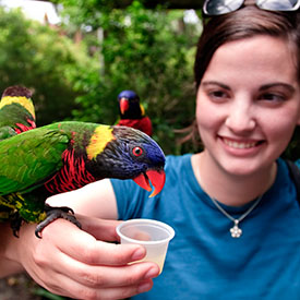 Resident and a parrot at the 4000 Hulen Urban Apartment Homes Zoo near 4000 Hulen Urban Apartment Homes