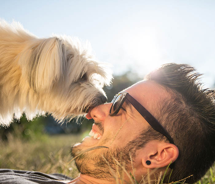 Pet-friendly apartments in Atlanta, GA
