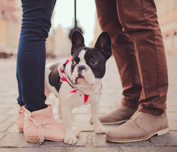 Dog standing between couple at Anthem Cityline in Richardson