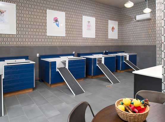 Many amenities await you at apartments in Fredericksburg