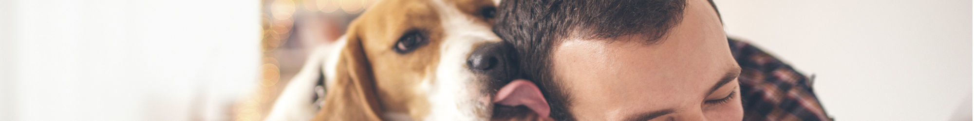 The Reserve at Miller Farm is pet friendly
