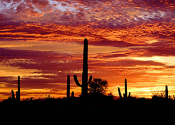 Scenic views near the apartments for rent in Scottsdale