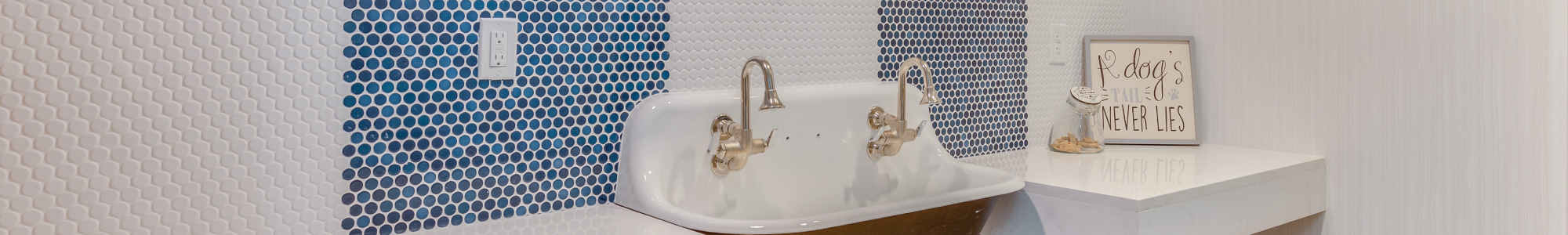 Pet friendly apartments at Lux