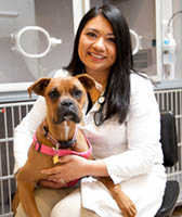 Dr. Veronica Bingamon at ABQ Petcare Hospital