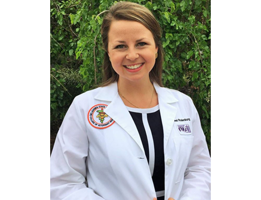 Dr. Rodenburg at Lee's Summit Animal Hospital