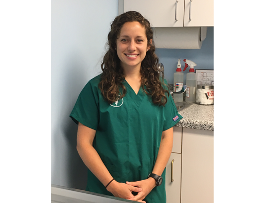 Dr. Whitney Davis at Lee's Summit Animal Hospital