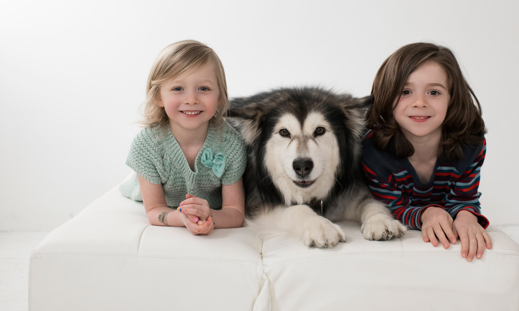 Animal Hospital in Newcastle, WA