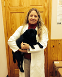 Animal Hospital Veterinarian in Stone Ridge
