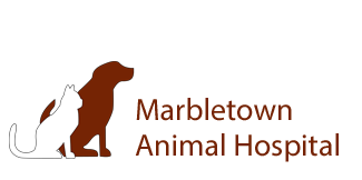 Marbletown Animal Hospital