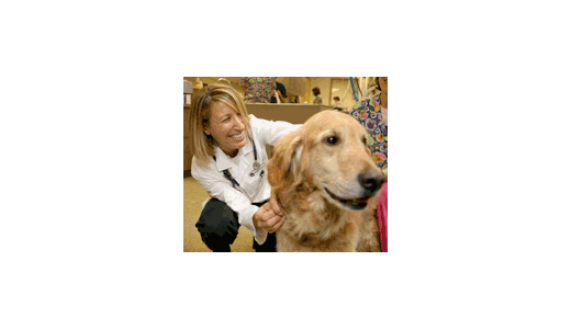 Dr. Annie Web at Lakewood Veterinary Clinic