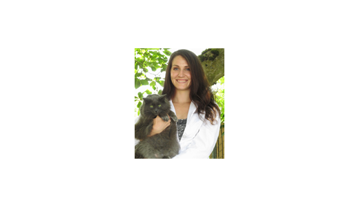 Dr. Wedde, DVM at Lakewood Animal Hospital