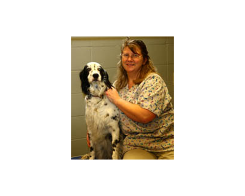 Felicity groomer at Chambers Creek Veterinary Hospital