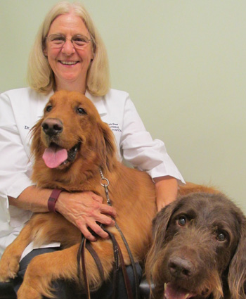 Dr. Carol Homann at animal hospital in Roselle