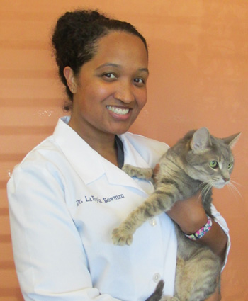 Dr. LaToyia Bowman, Veterinarian in Roselle Animal Hospital
