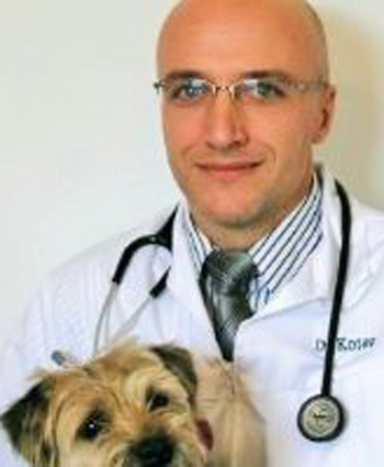 Dr. Emanoel Kotev, Veterinarian in Roselle Animal Hospital