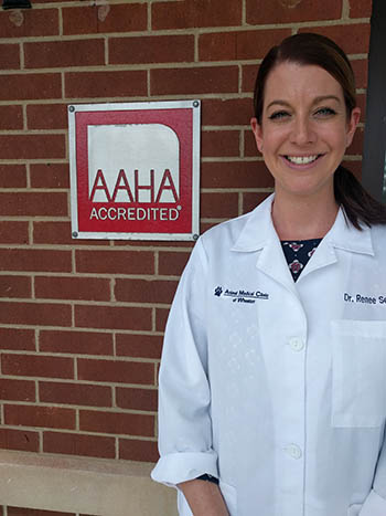 Dr. Seager at Animal Medical Clinic - Wheaton