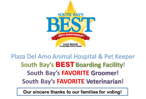 Plaza Del Amo Animal Hospital & Pet Keeper is South Bay's best boarding facility