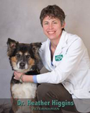 Dr. Heather Higgins at Friendship Hospital for Animals
