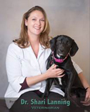 Dr. Shari Lanning at Friendship Hospital for Animals