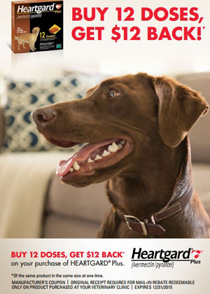 Heartgard promotional offer