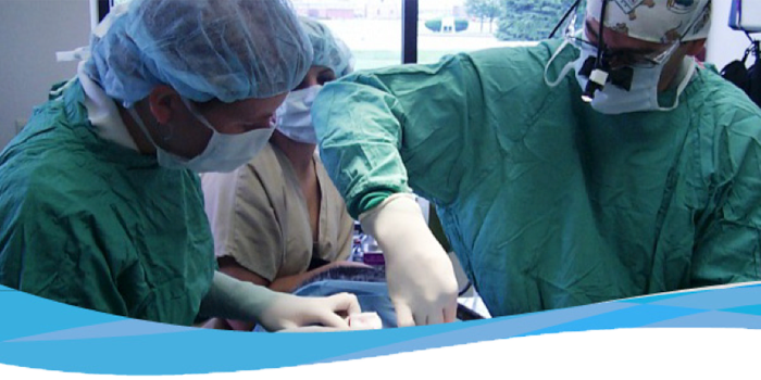 Orthopedic Surgery at Mundelein Animal Hospital, in Mundelein