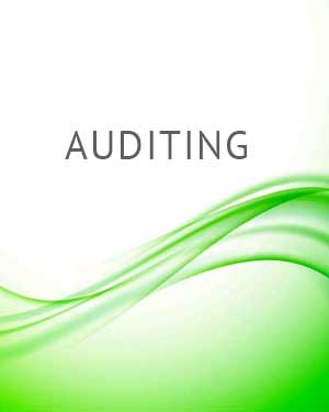 Auditing assistance at JSM Storage Management