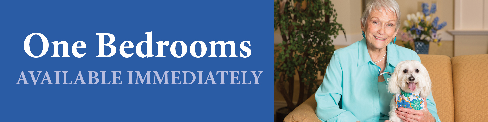 One Bedrooms Available Immediately