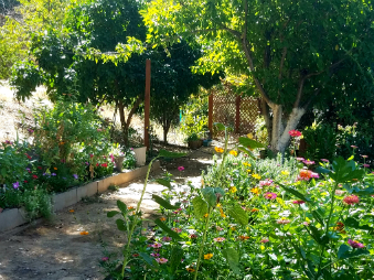 A wonderful community garden at .