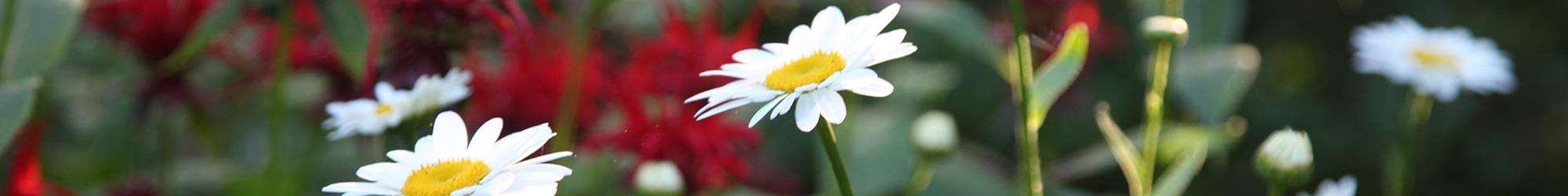 About senior living in West Yarmouth