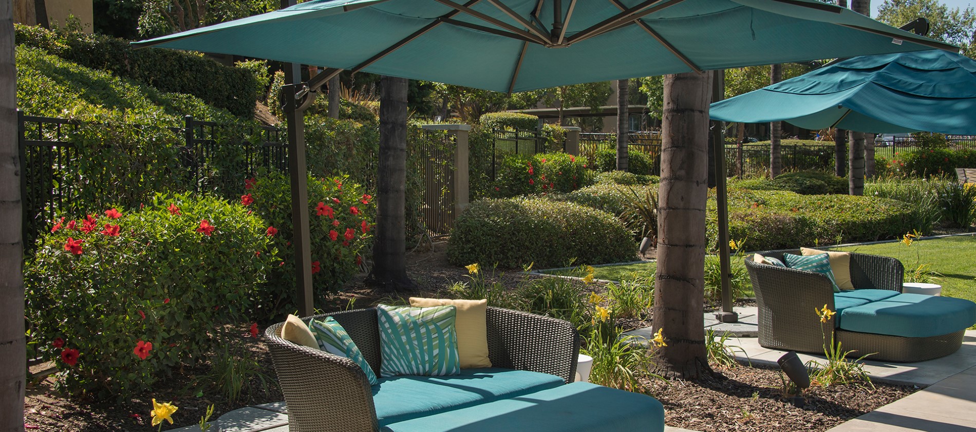 Learn about our exciting programs at Esplanade Apartment Homes on our website