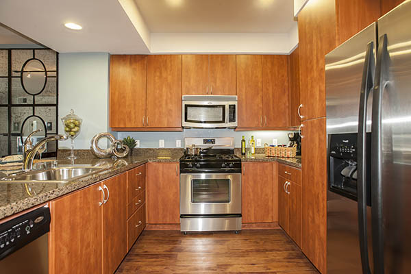 Luxury features at Azure Apartment Homes in Petaluma
