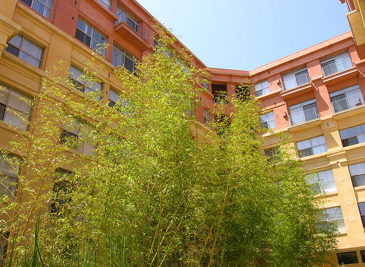 Spacious and beautiful common areas at 1010 Pacific Apartments