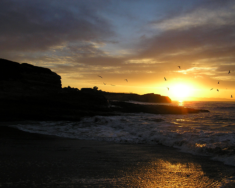 Pacific Shores in Santa Cruz offers close proximity to the beach