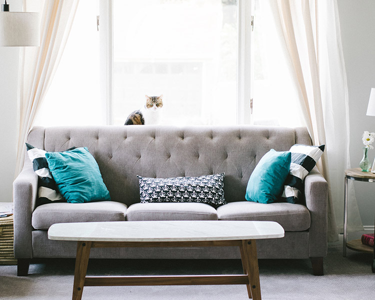 Comfortable couch in Pacific Shores apartment living room