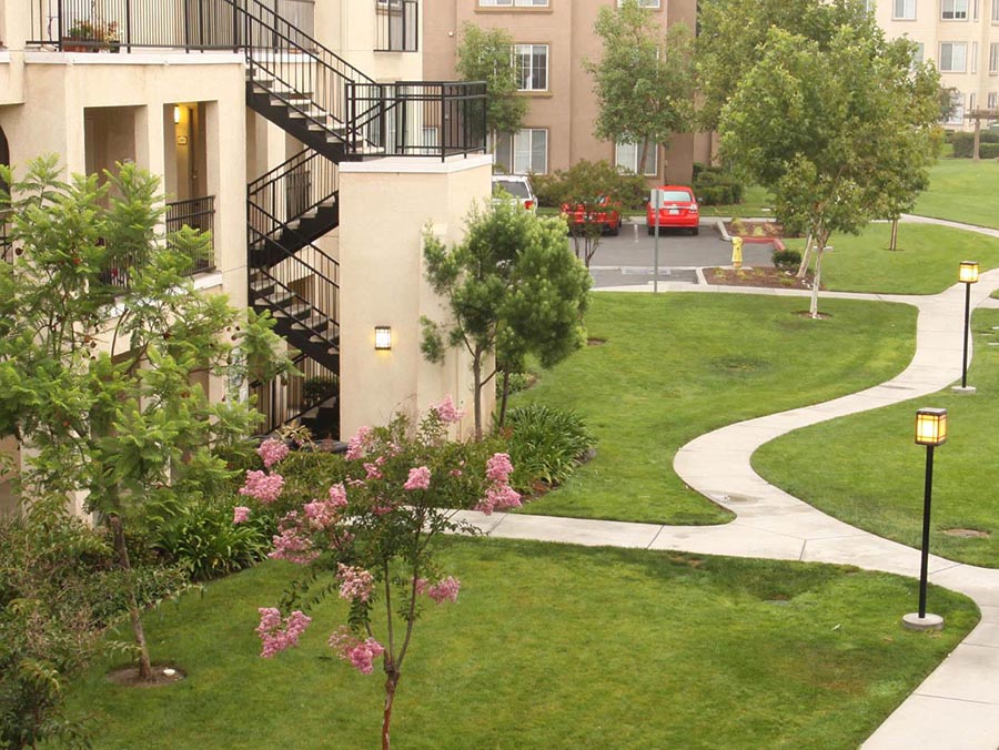 Lush greenery at Alvista Towngate