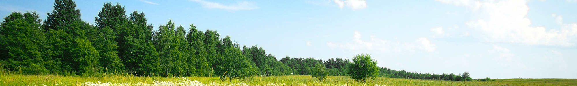 Assisted living at Ridgeline Management Company