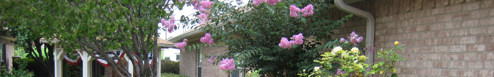 What's new at Flower Mound Assisted Living.