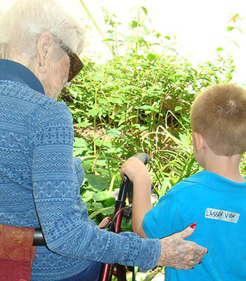 Contact Sundial Assisted Living to learn more about our independent living.