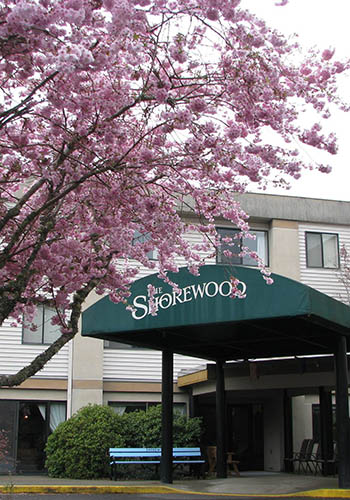 Contact Shorewood Senior Living to learn more about our independent living.
