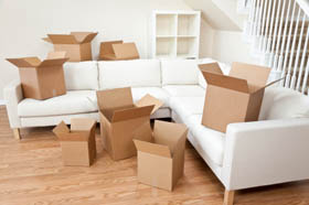 Packing boxes on sofa