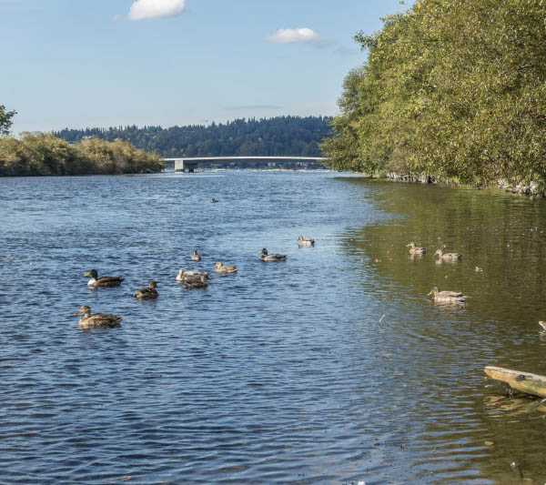 Senior living in Renton has a river nearby