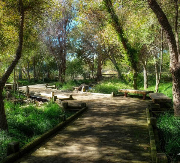 Senior living in Campbell has many beautiful trails