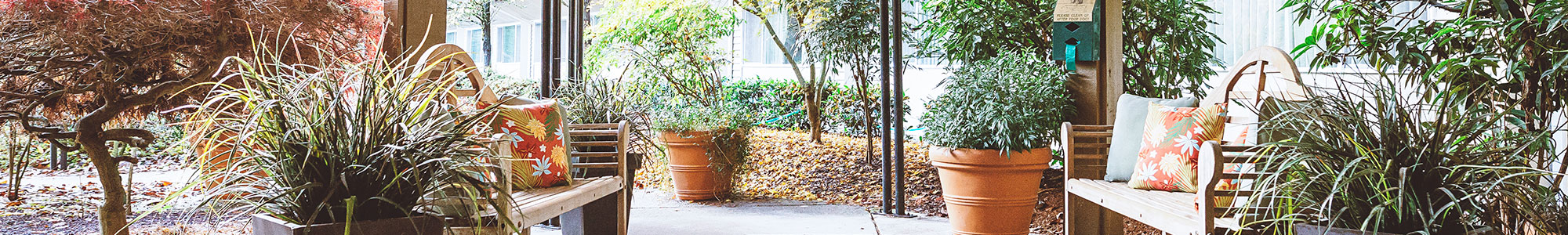 Services and amenities offered at senior living in Tacoma